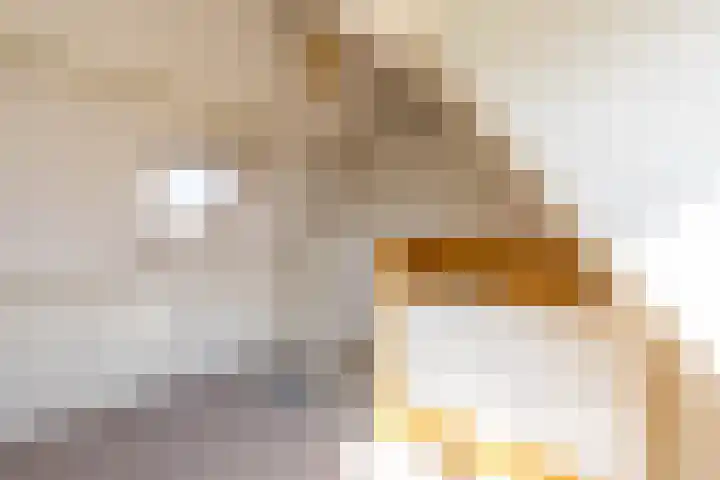 Lingestraat 24 b Groningen thumbnail 36
