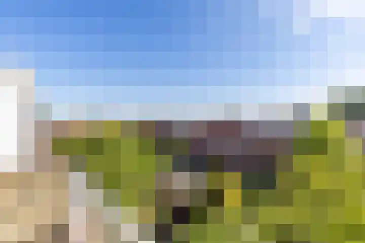 Lingestraat 24 b Groningen thumbnail 39