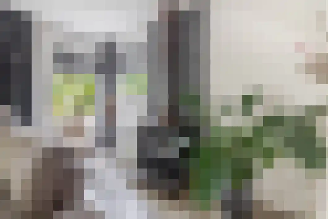 Lingestraat 25 Assen thumbnail 12