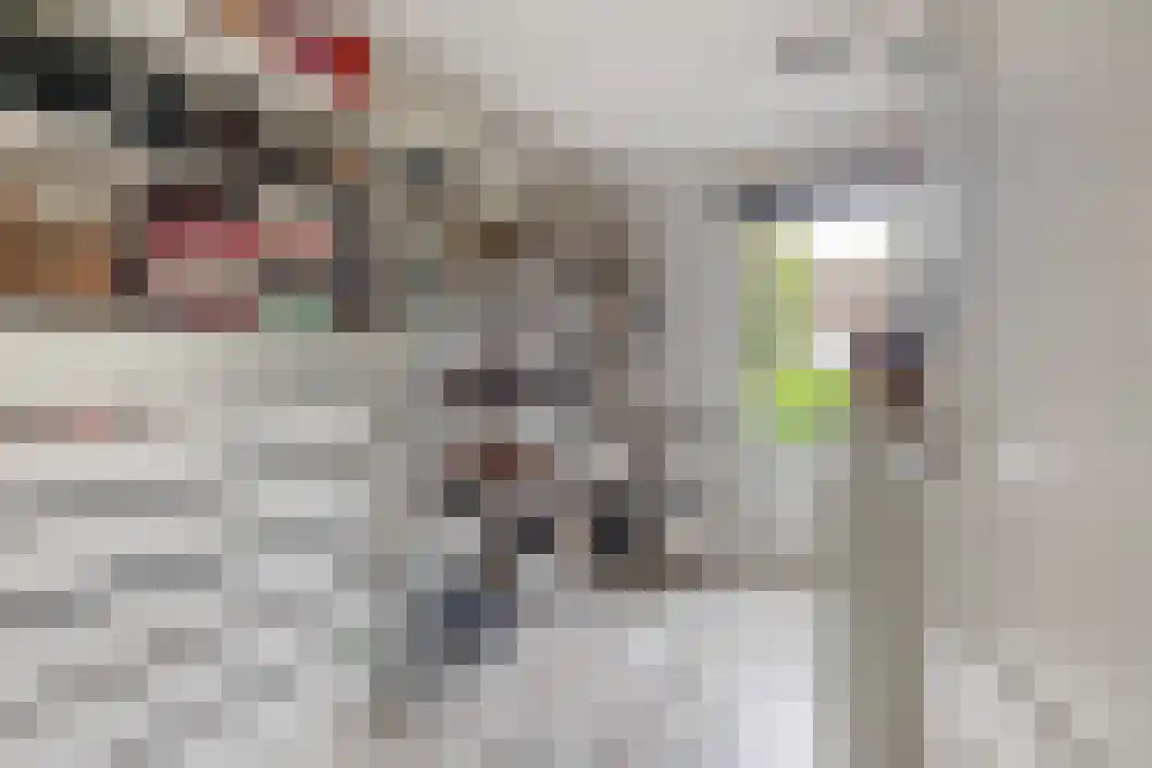 Lingestraat 25 Assen thumbnail 22