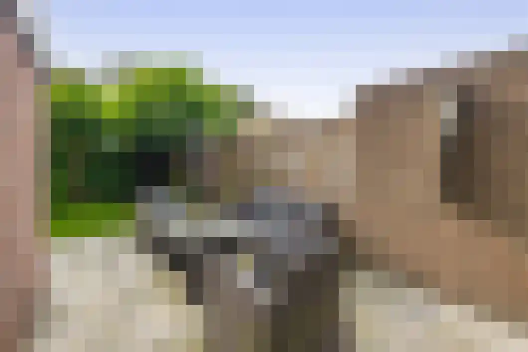Lingestraat 25 Assen thumbnail 27