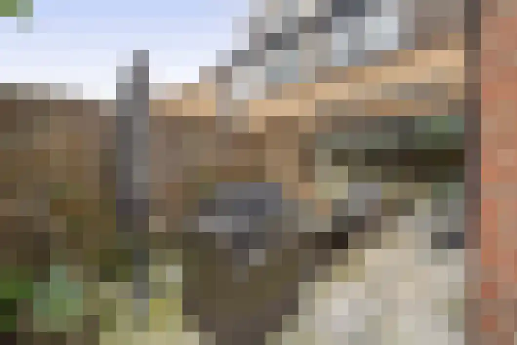 Lingestraat 25 Assen thumbnail 28