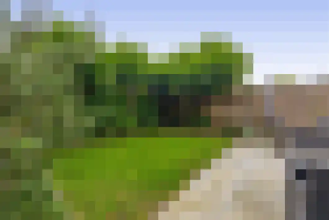 Lingestraat 25 Assen thumbnail 29