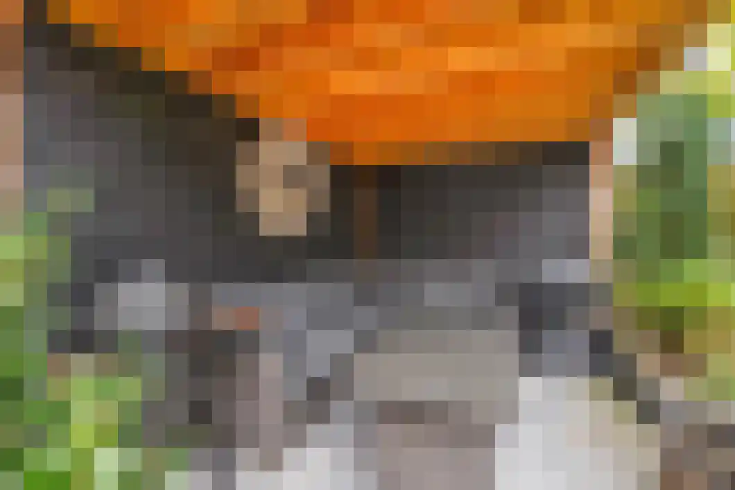 Lingestraat 25 Assen thumbnail 30