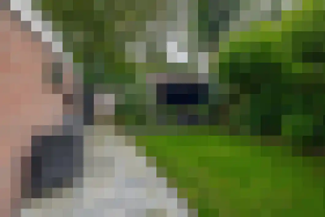 Lingestraat 25 Assen thumbnail 31
