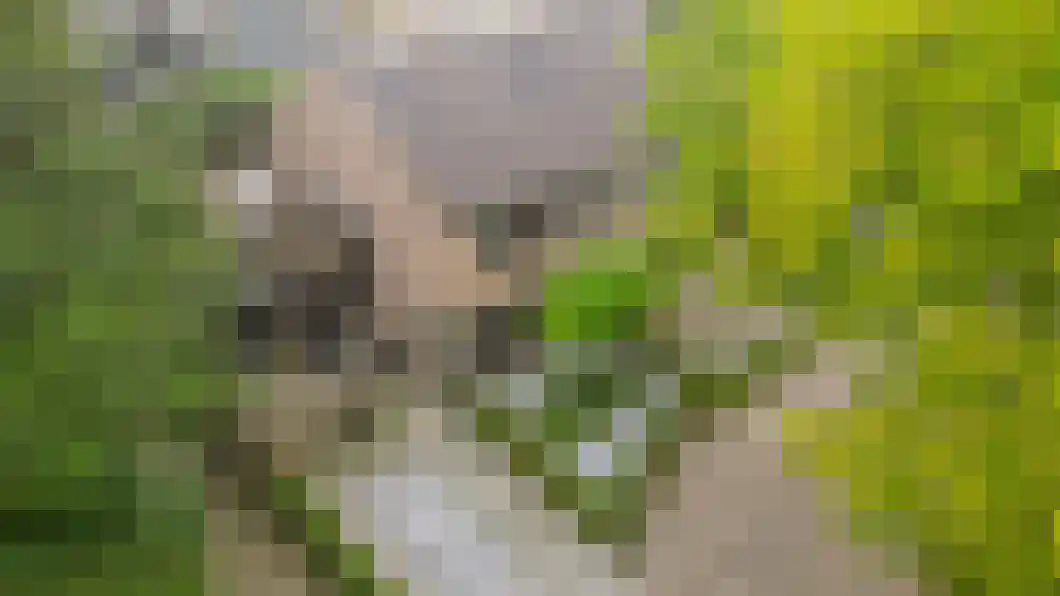 Lingestraat 25 Assen thumbnail 33