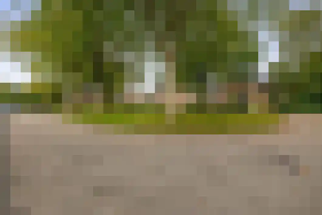 Lingestraat 25 Assen thumbnail 34
