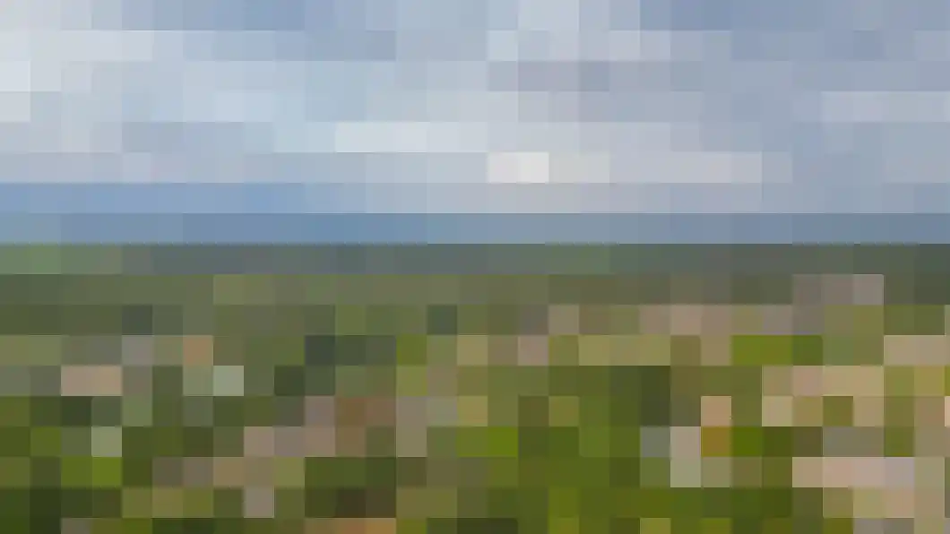 Lingestraat 25 Assen thumbnail 38