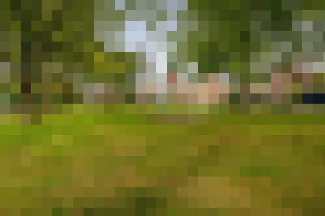 Lingestraat 25 Assen thumbnail 8