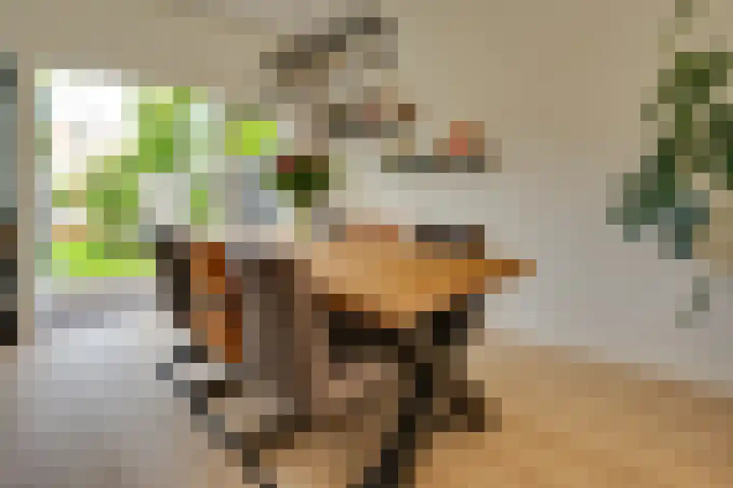 Lingestraat 25 Groningen thumbnail 14