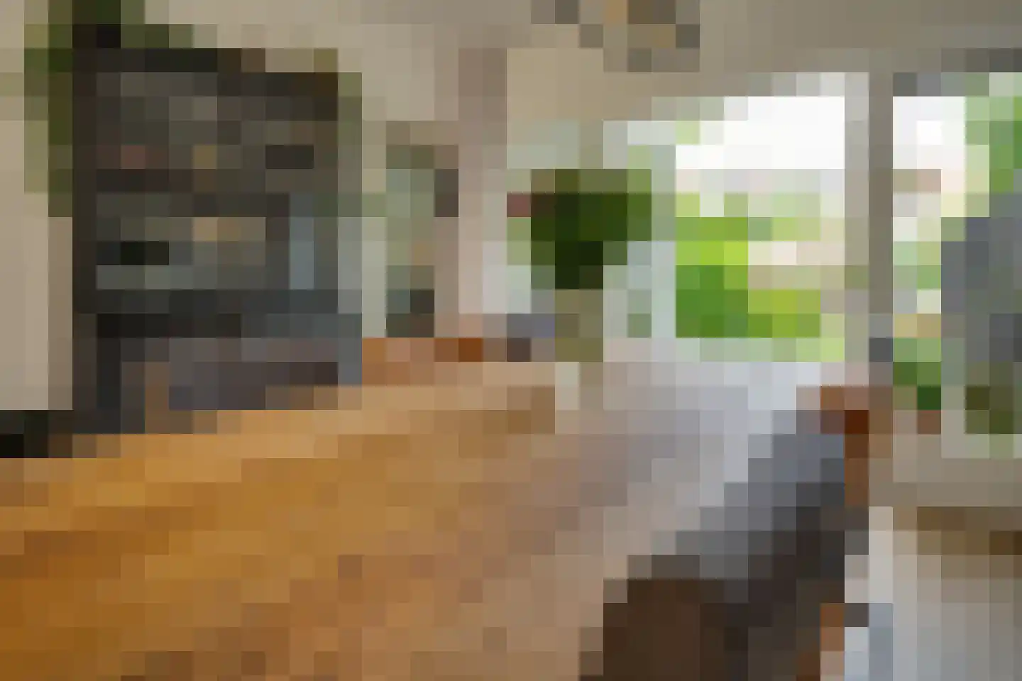 Lingestraat 25 Groningen thumbnail 15
