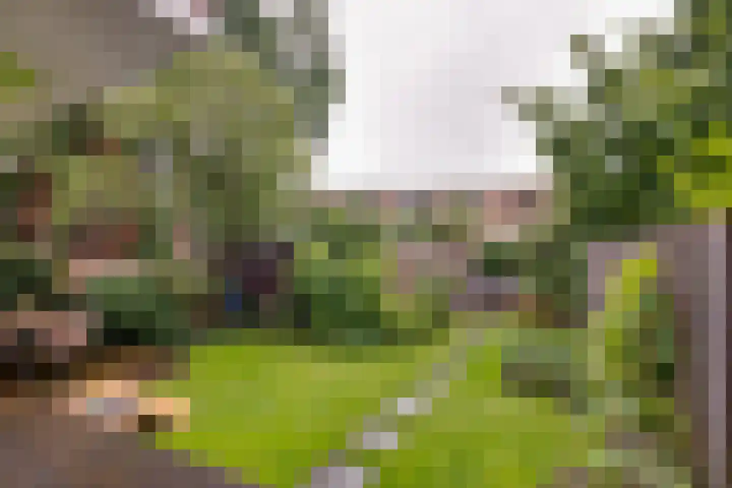 Lingestraat 25 Groningen thumbnail 27