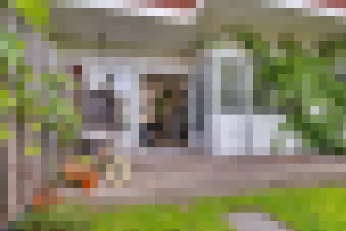 Lingestraat 25 Groningen thumbnail 28