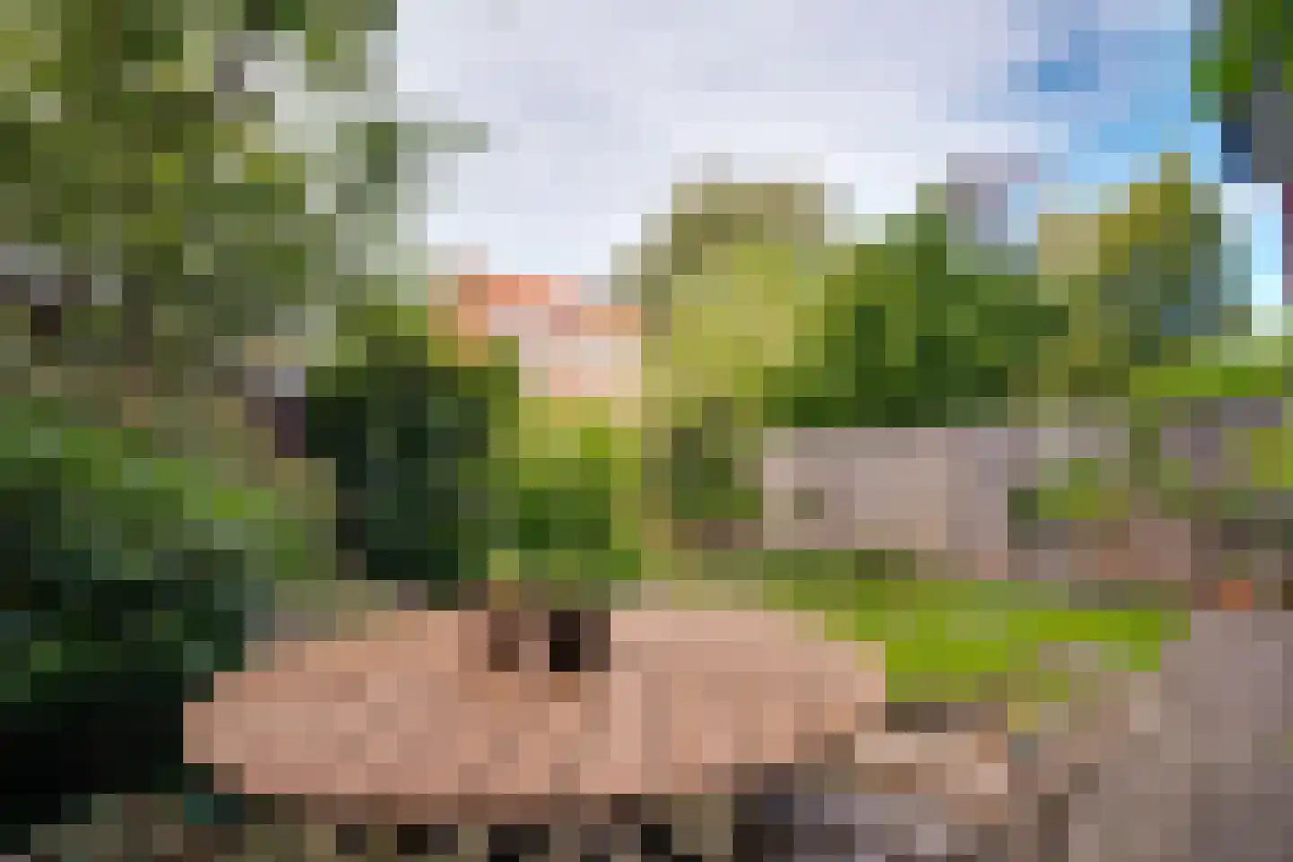 Lingestraat 25 Groningen thumbnail 30