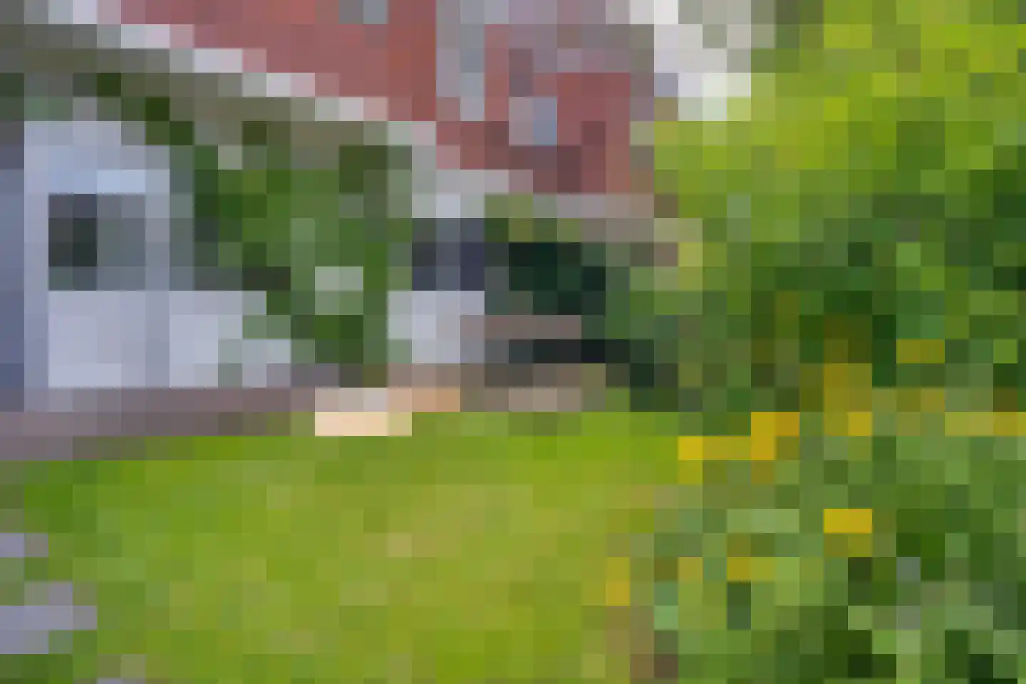 Lingestraat 25 Groningen thumbnail 31