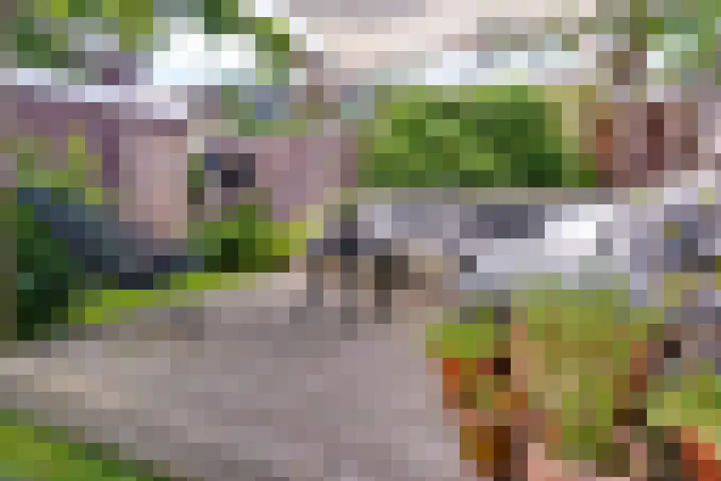 Lingestraat 25 Groningen thumbnail 32