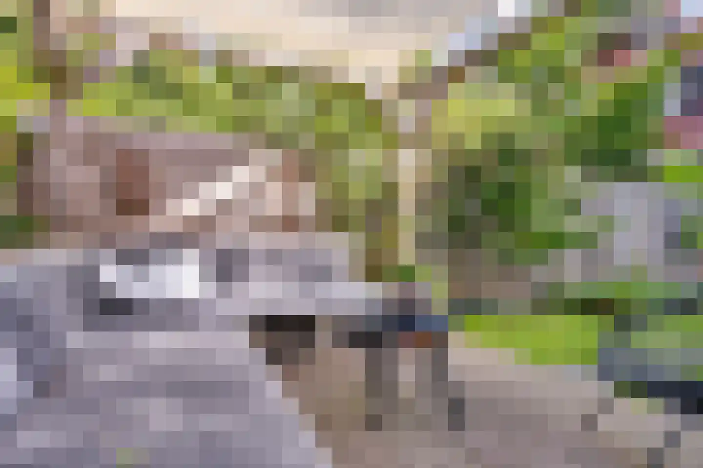 Lingestraat 25 Groningen thumbnail 34