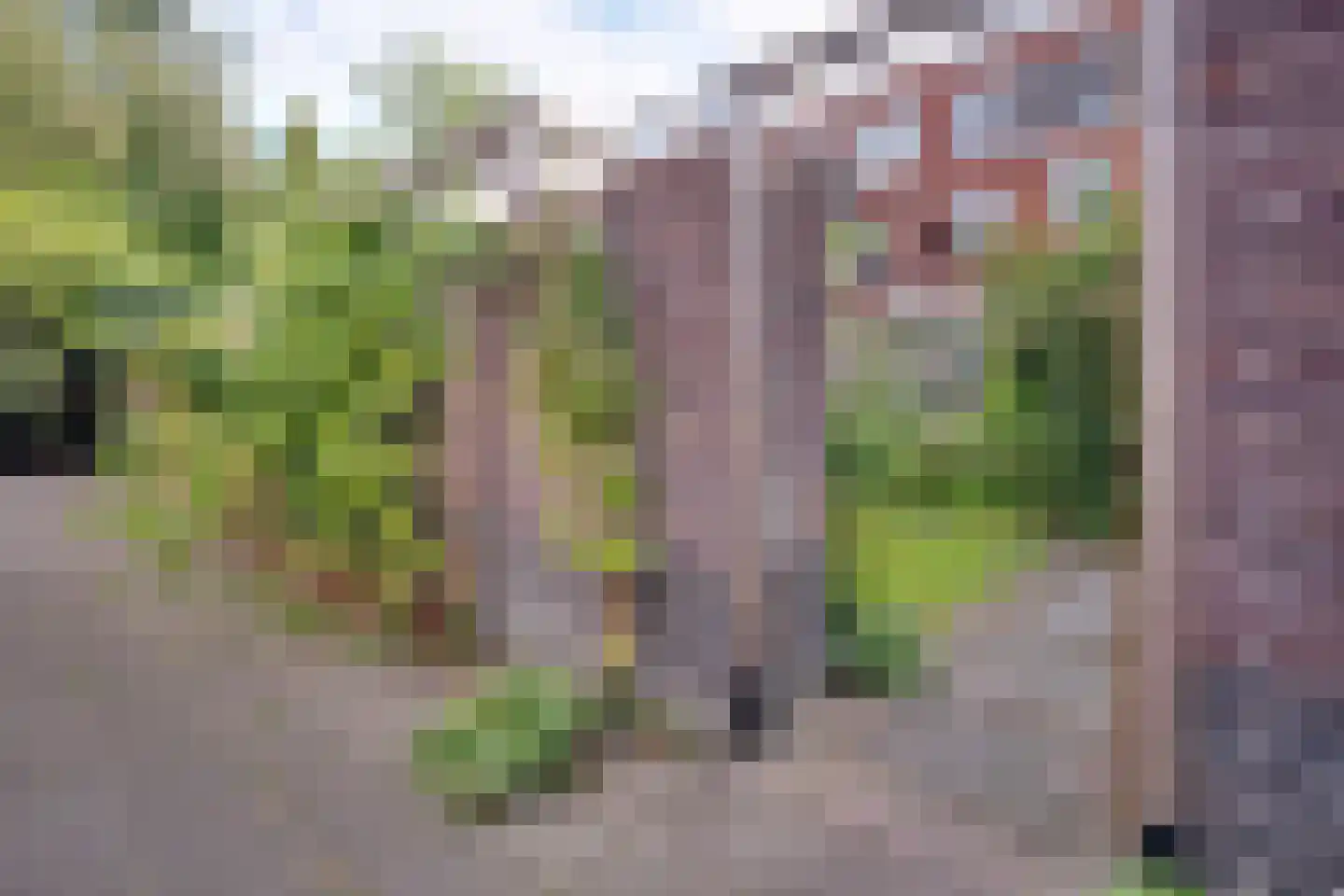 Lingestraat 25 Groningen thumbnail 36