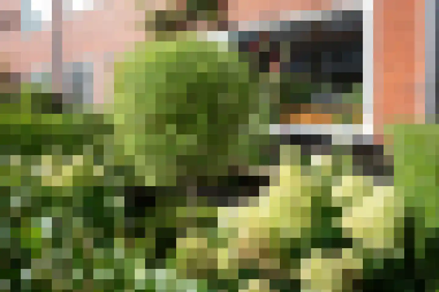 Lingestraat 25 Groningen thumbnail 5