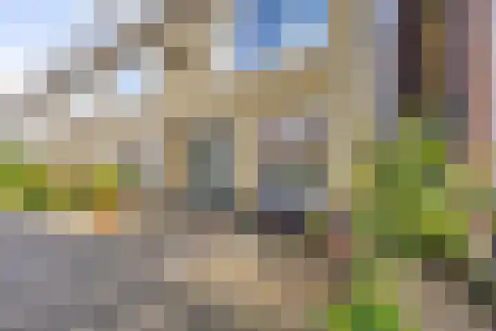 Lingestraat 26 in Groningen