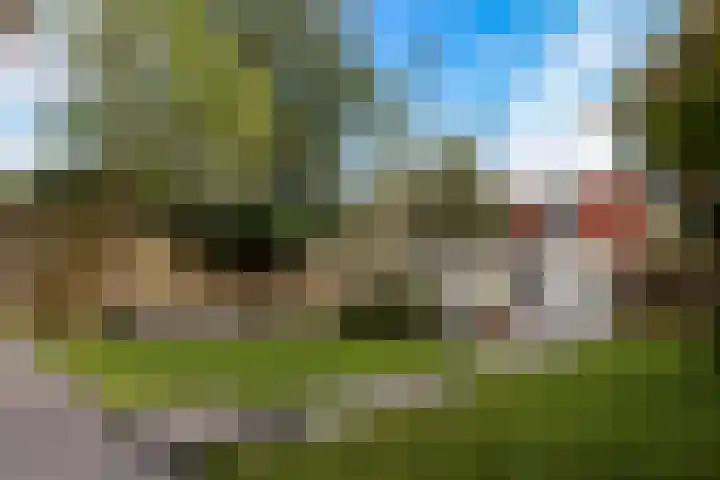 Lingestraat 26 Groningen thumbnail 37
