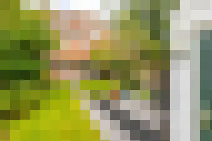 Lingestraat 26 Groningen thumbnail 40