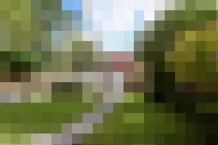 Lingestraat 26 Groningen thumbnail 5