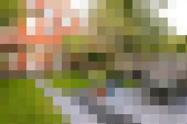 Lingestraat 26 Groningen thumbnail 6