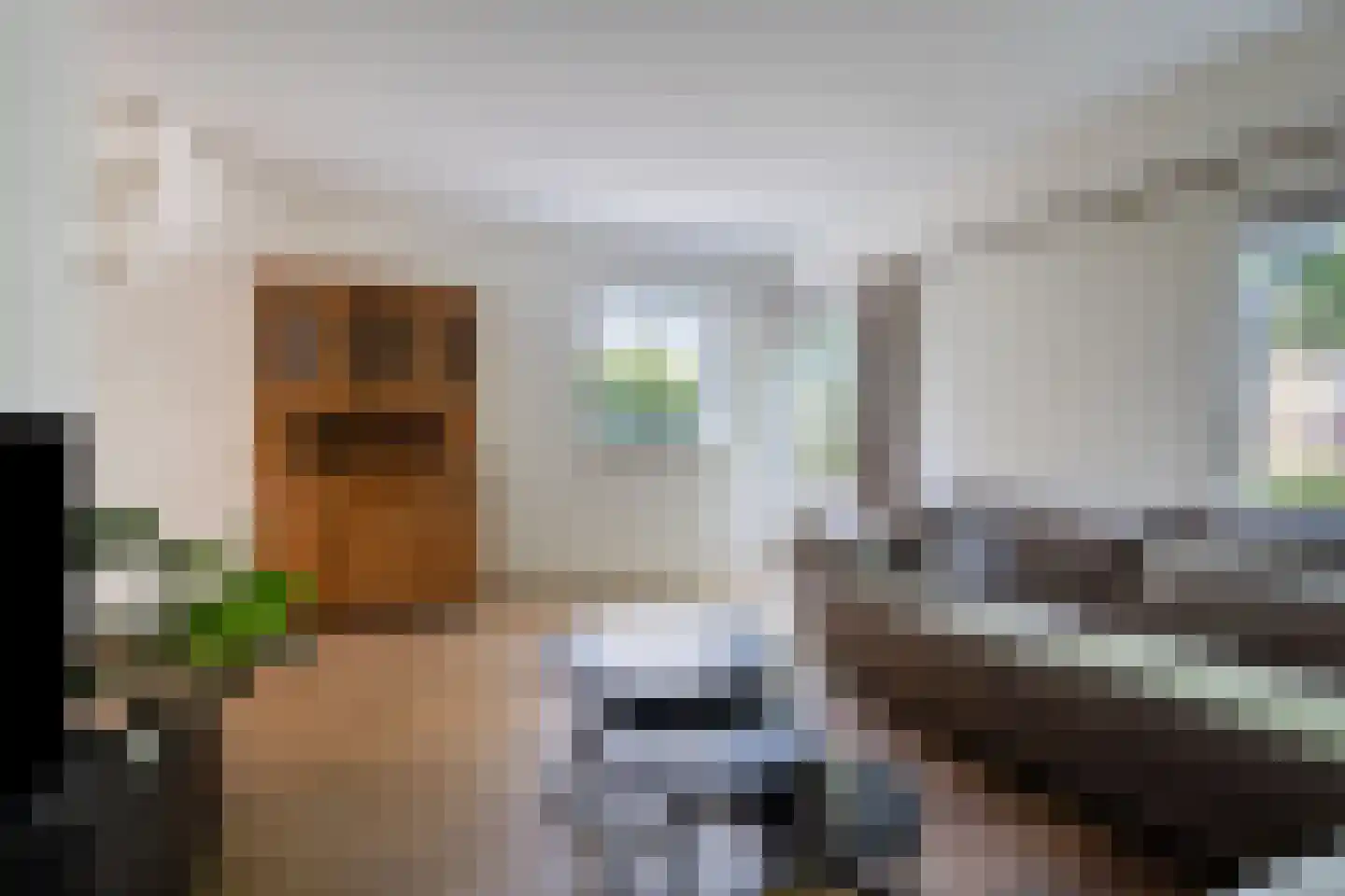 Lingestraat 27 Assen thumbnail 15