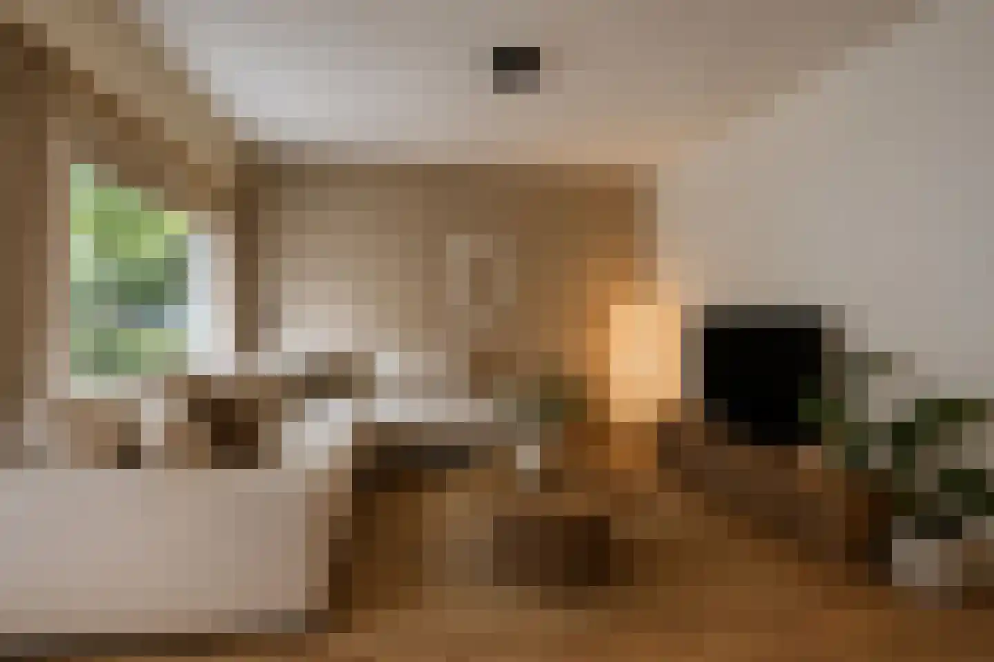 Lingestraat 27 Assen thumbnail 15