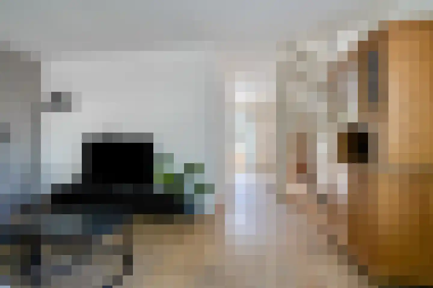 Lingestraat 27 Assen thumbnail 16