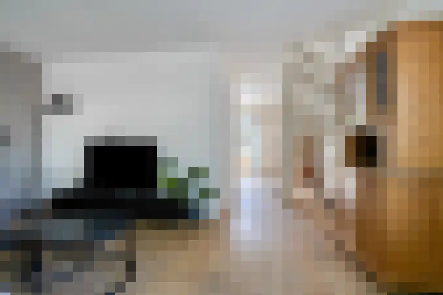 Lingestraat 27 Assen thumbnail 17