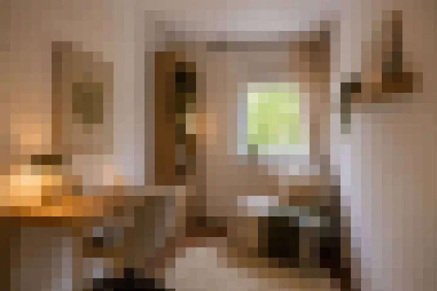 Lingestraat 27 Assen thumbnail 22