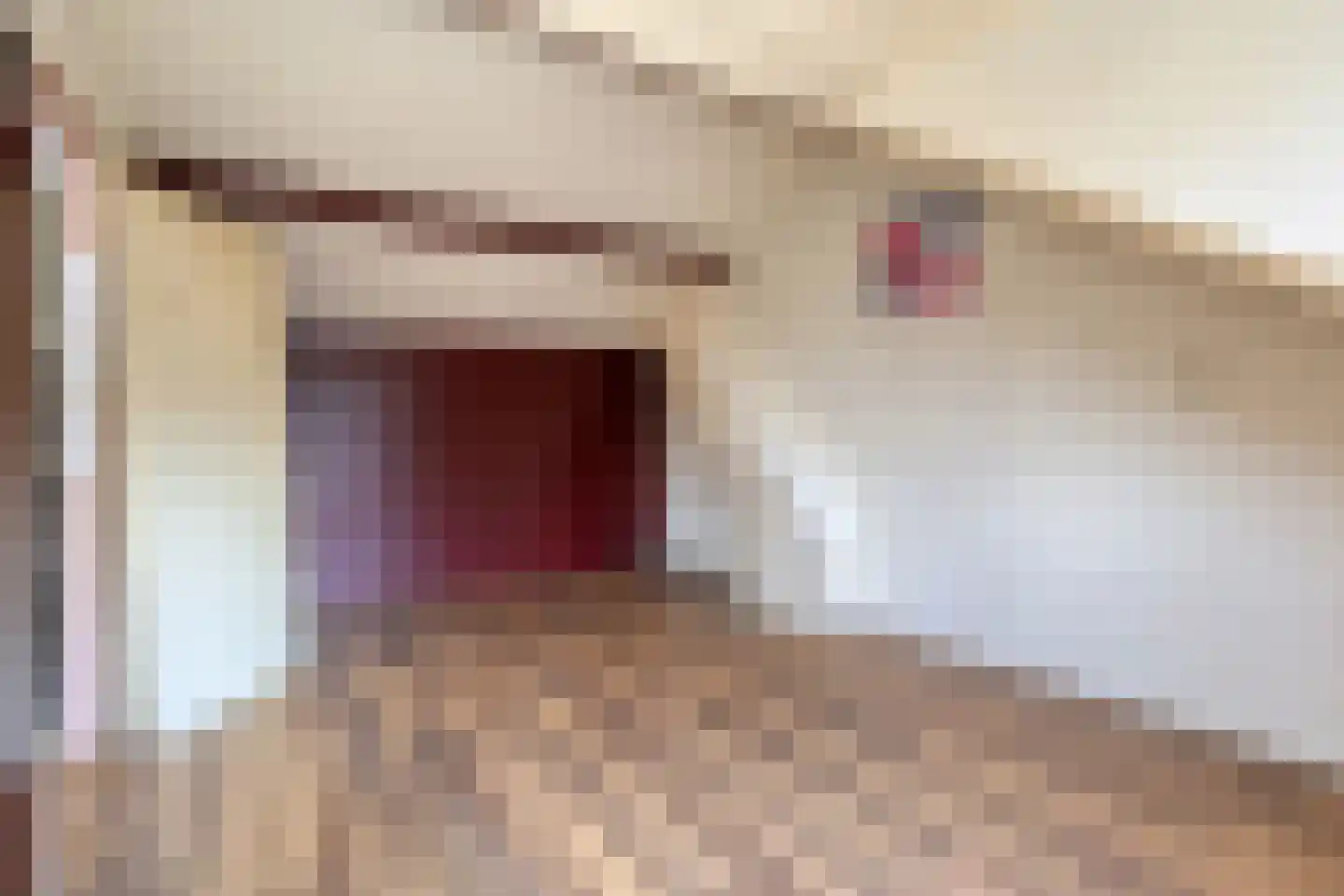 Lingestraat 27 Assen thumbnail 27