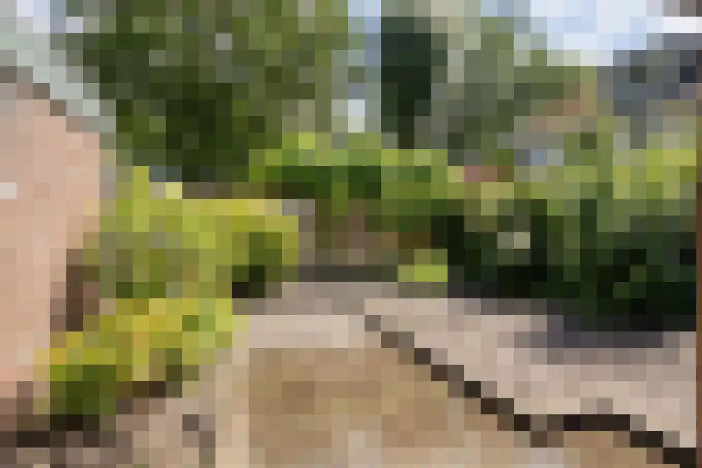 Lingestraat 27 Assen thumbnail 37