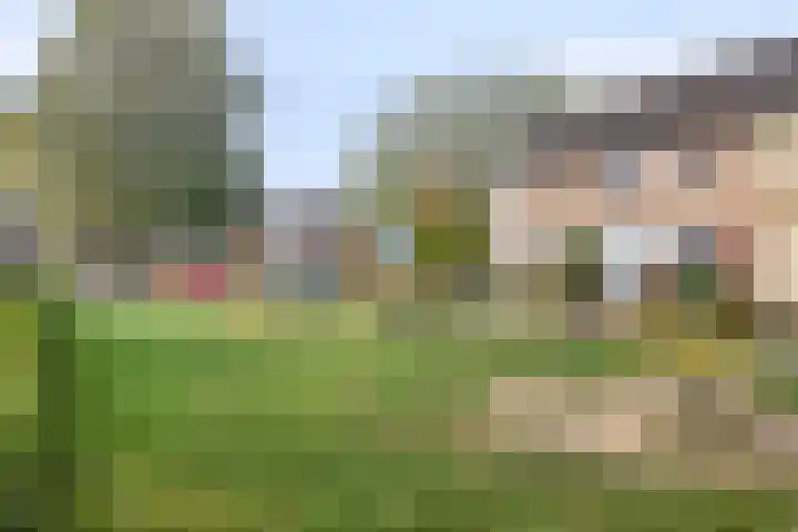 Lingestraat 28 Terneuzen thumbnail 31