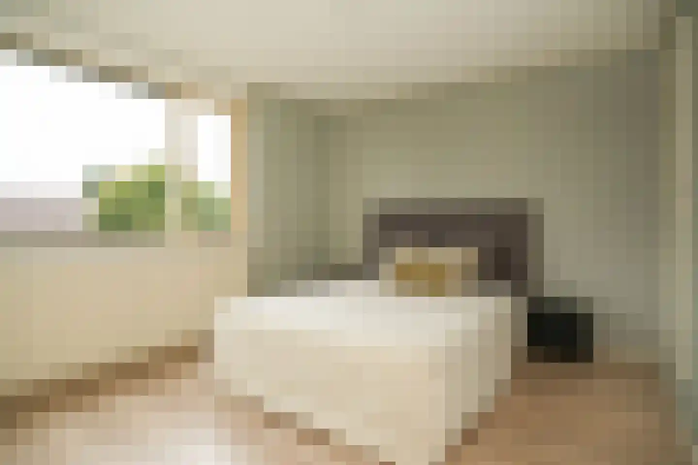 Lingestraat 3 Beesd thumbnail 16