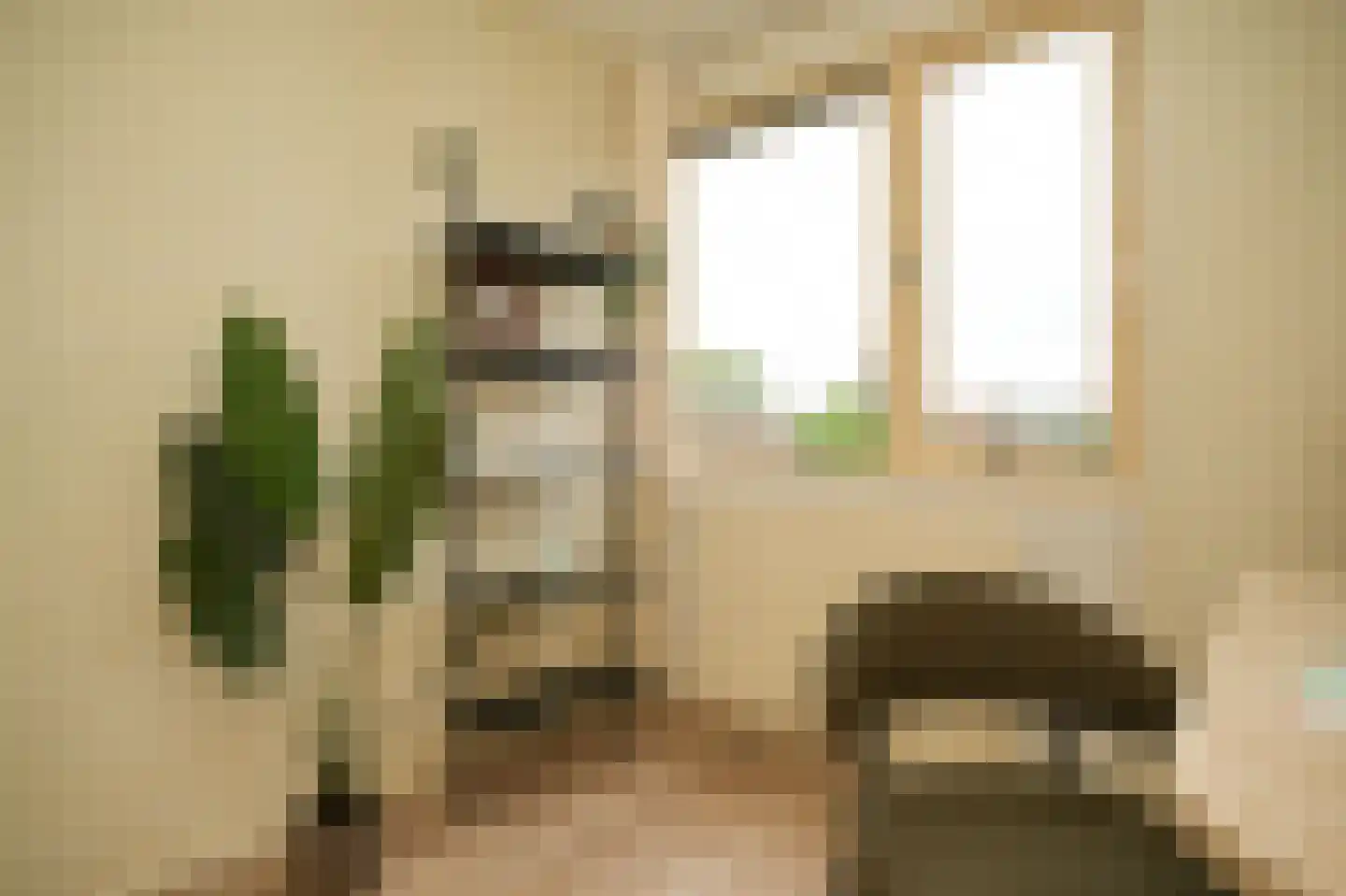 Lingestraat 3 Beesd thumbnail 20