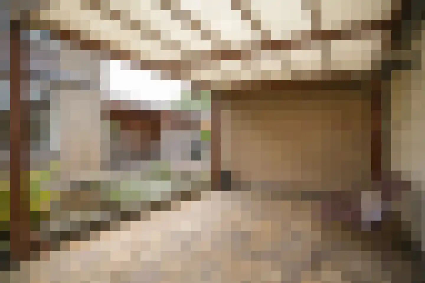 Lingestraat 3 Beesd thumbnail 28