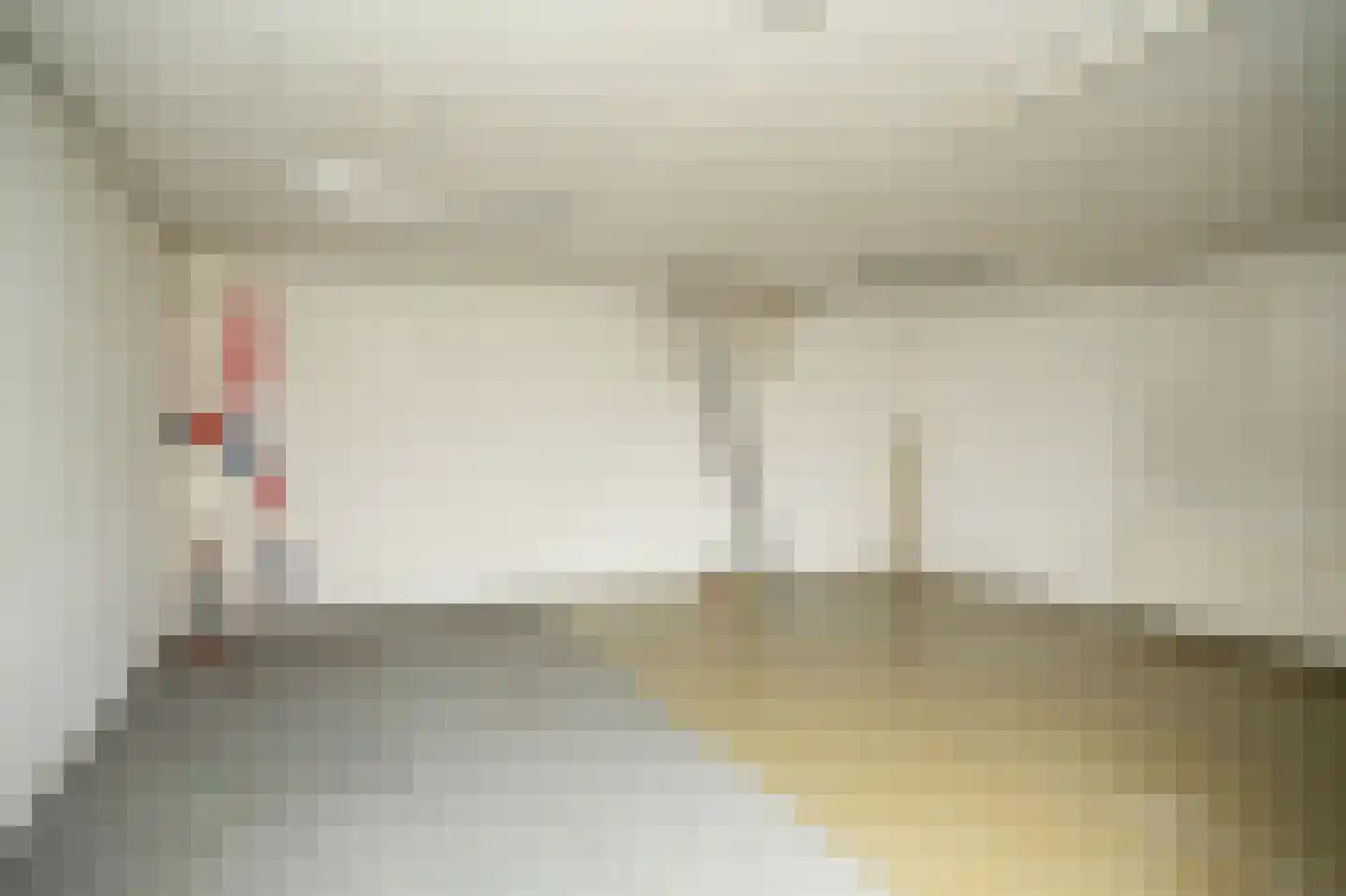 Lingestraat 3 Beesd thumbnail 32