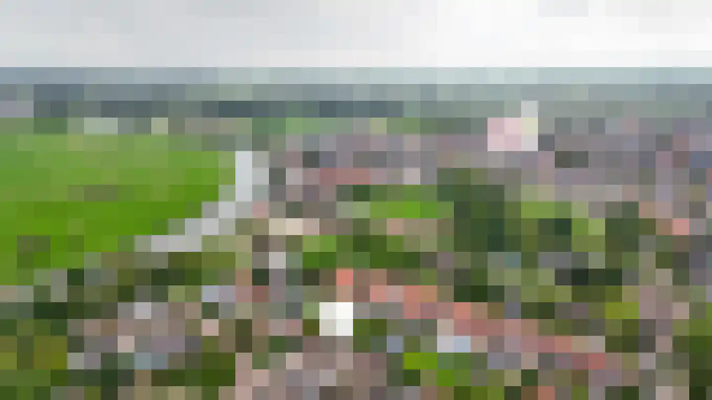 Lingestraat 3 Beesd thumbnail 46