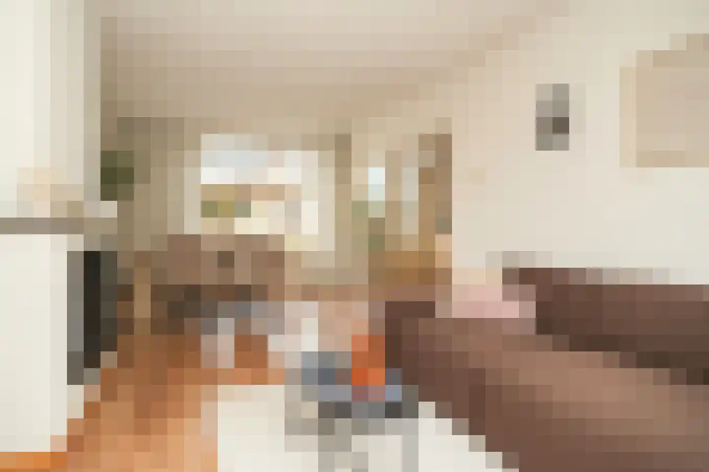 Lingestraat 3 Beesd thumbnail 5
