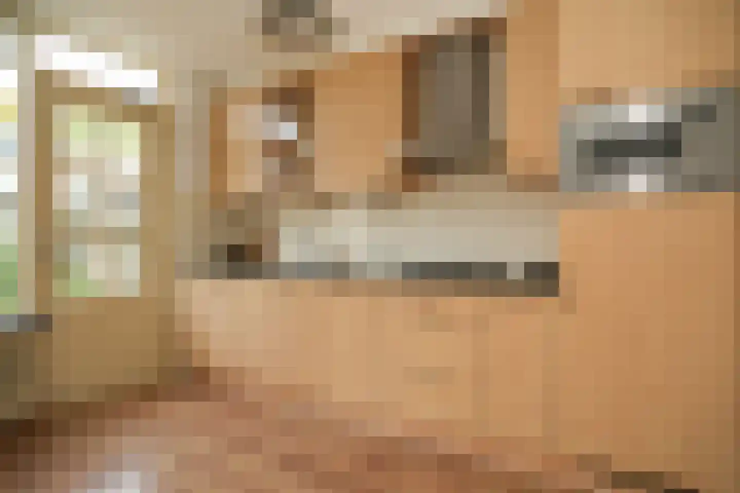 Lingestraat 3 Beesd thumbnail 6