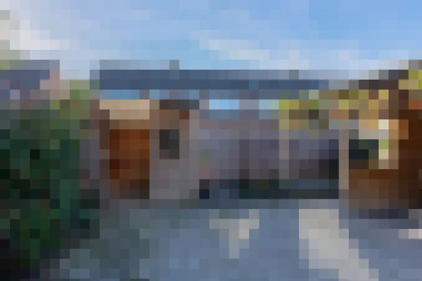 Lingestraat 30 Kapelle thumbnail 49