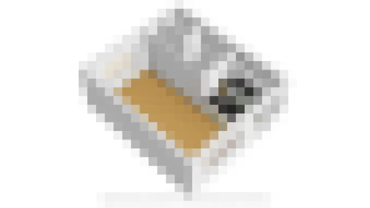 Lingestraat 30 Kapelle thumbnail 63