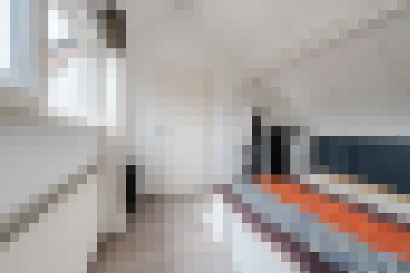Lingestraat 31 Helmond thumbnail 19
