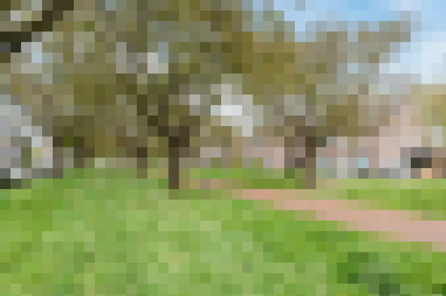 Lingestraat 31 Helmond thumbnail 24