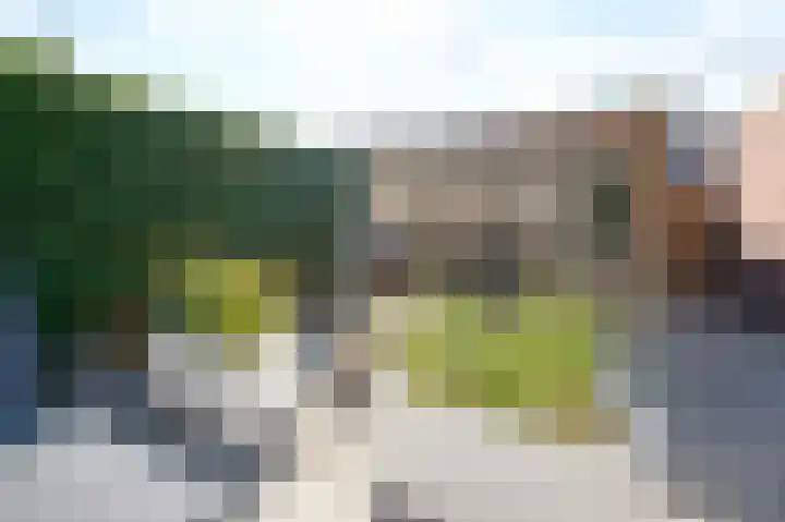 Lingestraat 32 Terneuzen thumbnail 4