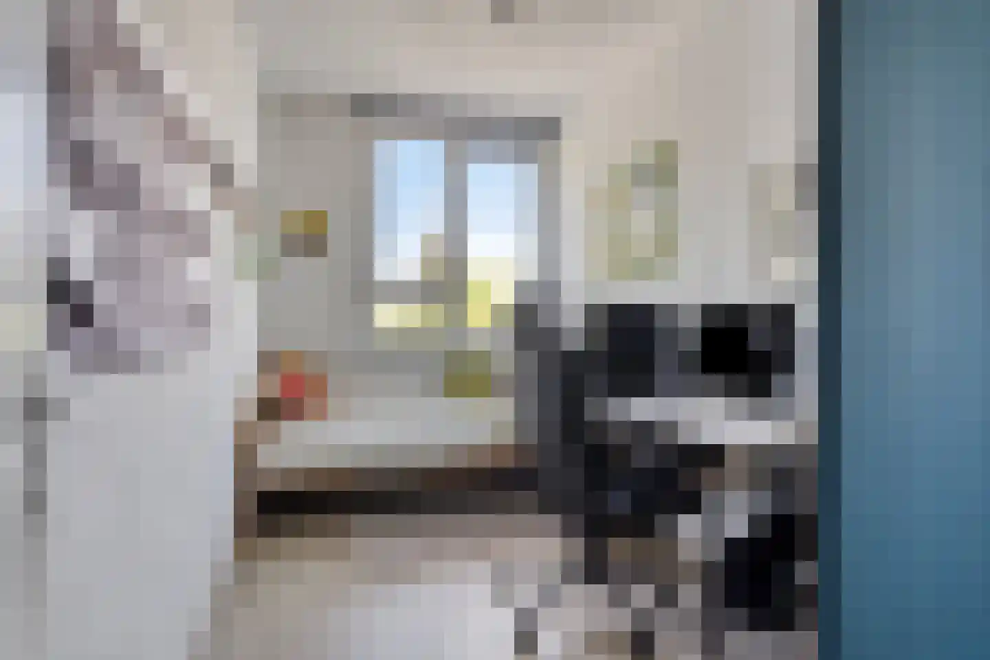 Lingestraat 4 Veghel thumbnail 14