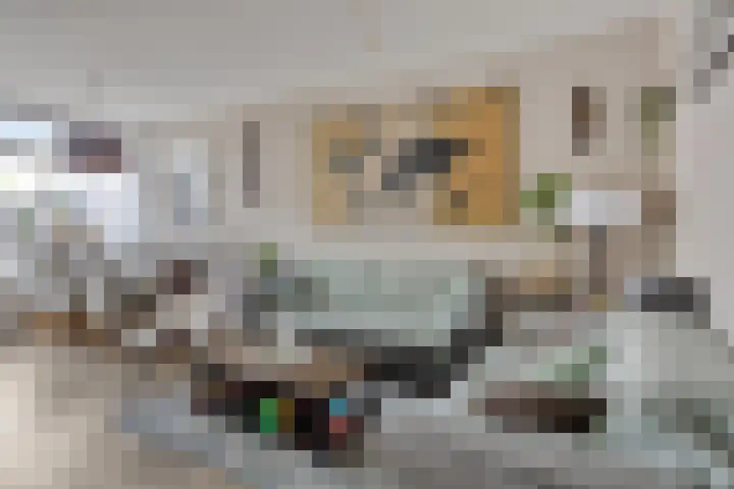 Lingestraat 4 Veghel thumbnail 4